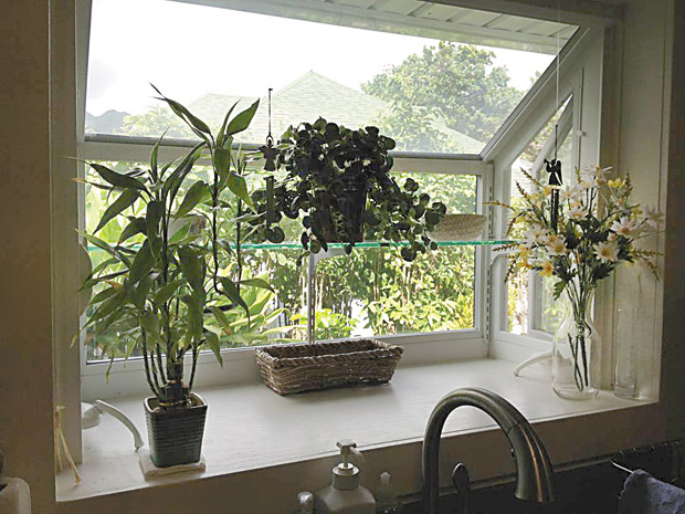 Expert shares advice on window options