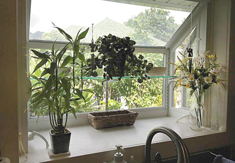 Expert shares advice on window options